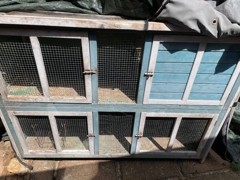 Free two storey guinea pig hutch