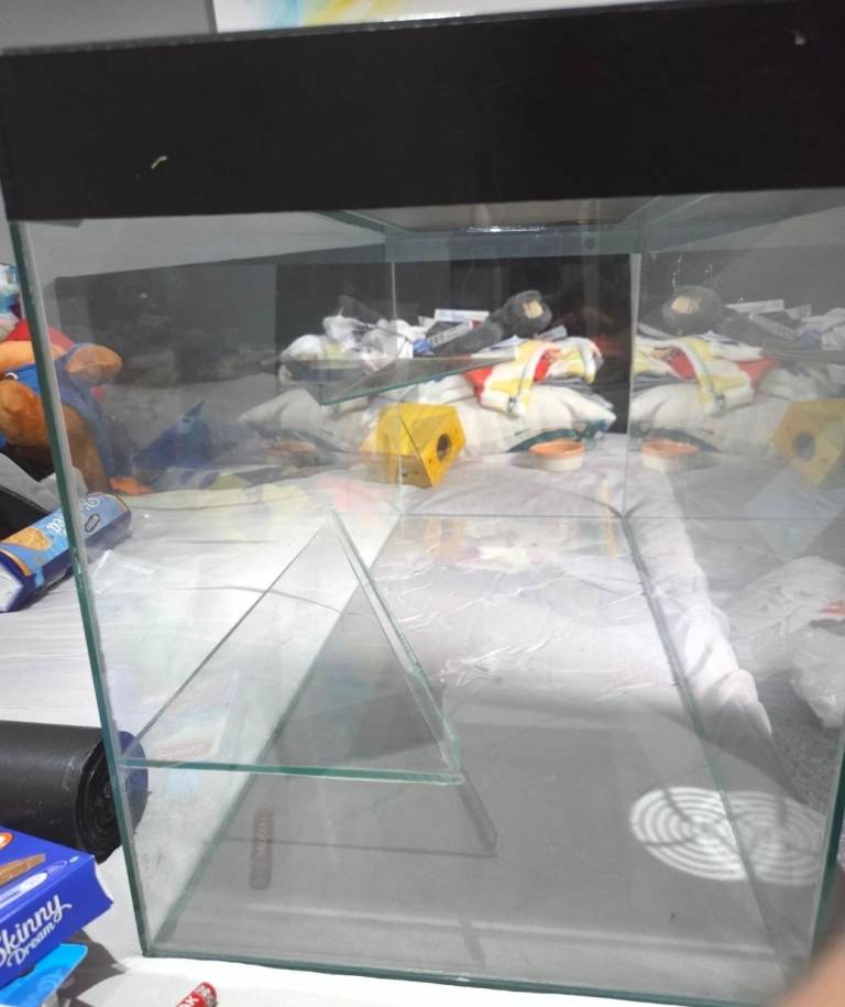 Glass tank for small rodents