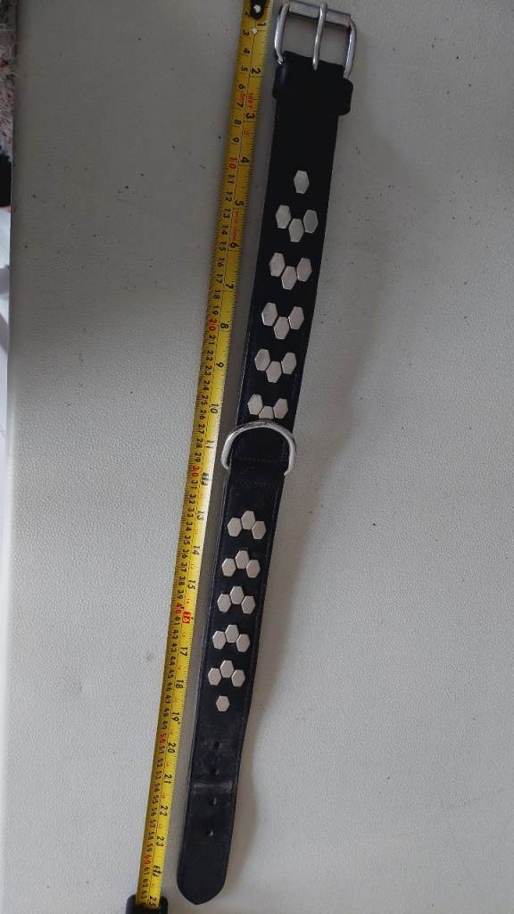 Thick Black Dog Collar,  been used a few times 