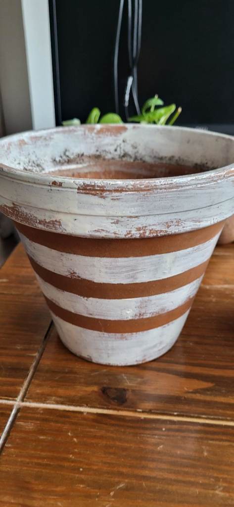 Decorative plant pots