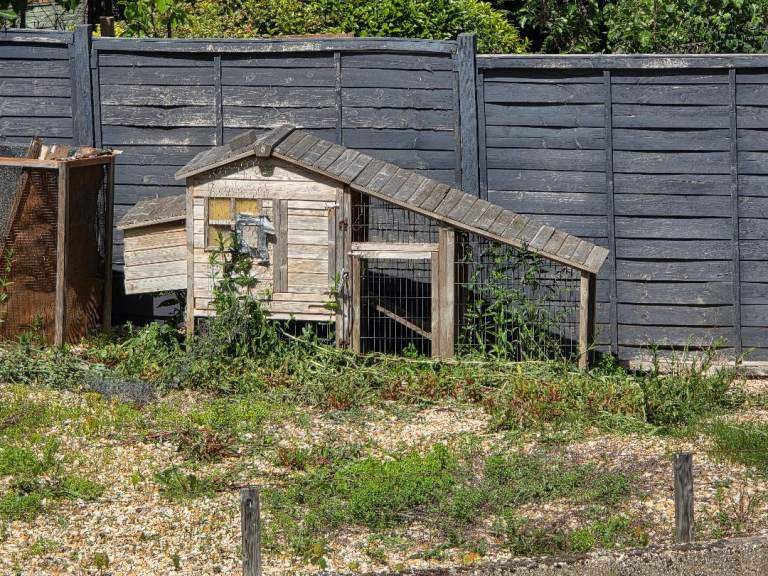 *FREE* Chicken Coop