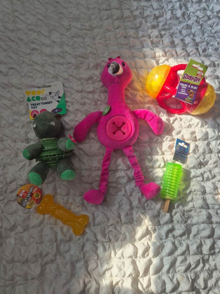New DOG toy dispensers and accessories 