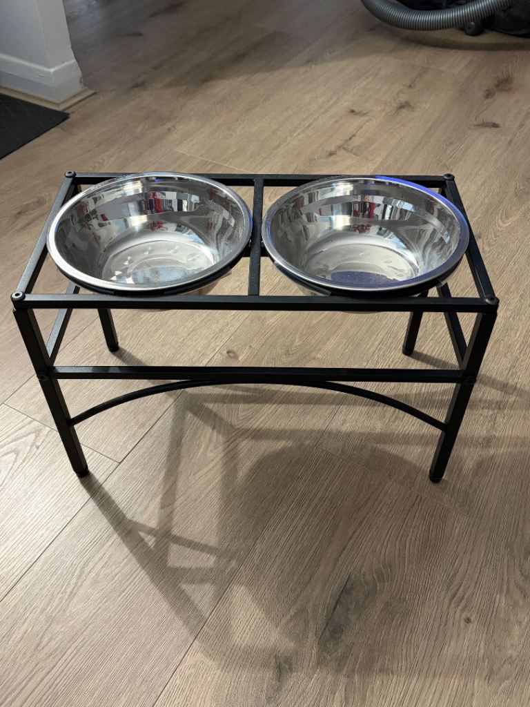 Raised Dog Feeding Station