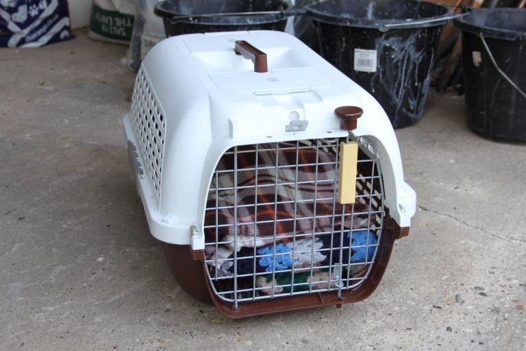 Cat Carrier