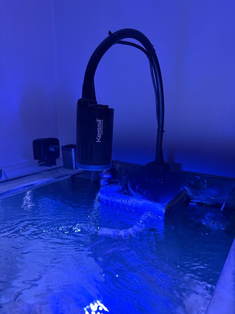 Kessil A150W Ocean Blue LED Light with Gooseneck