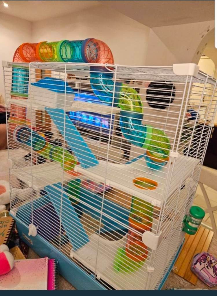 Hamster Cage with accessories - Like New