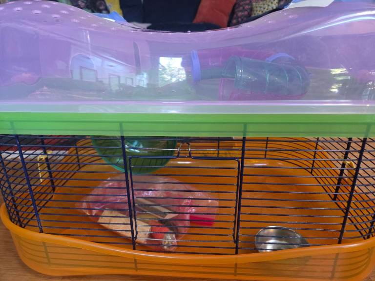 Imac hamster cage