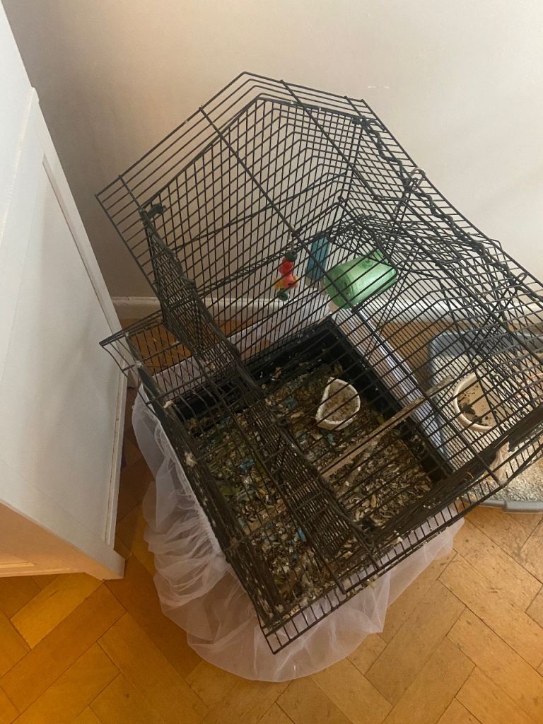 Black bird cage for sale £5