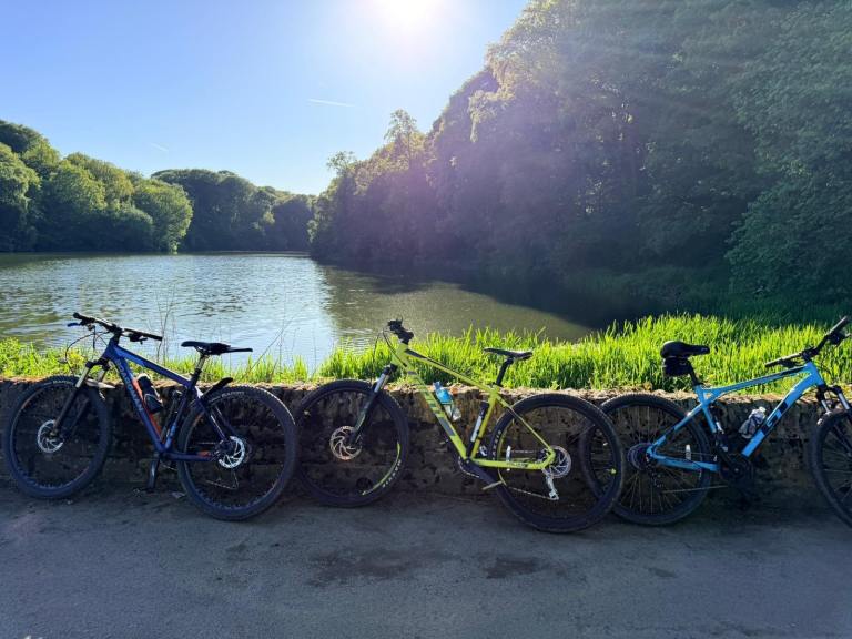 Gaint talon 3 mountain bike need gone asap