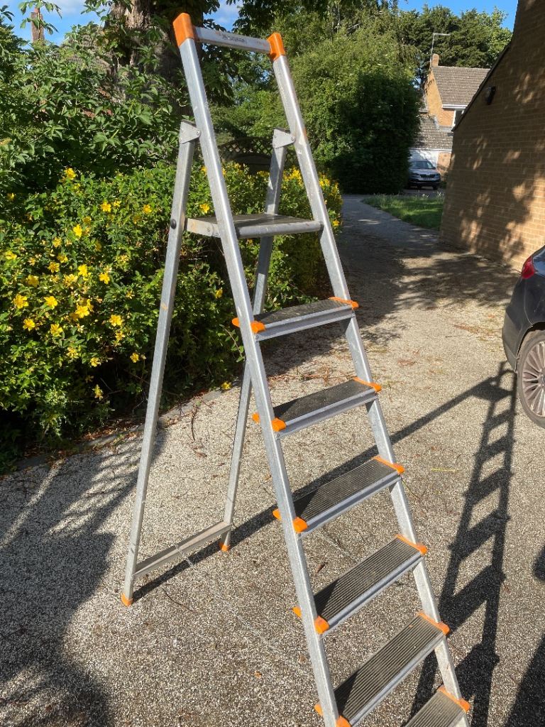 6 step ladder
