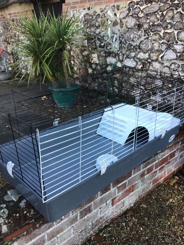 Ferplast 120 rabbit or Guinea pig cage