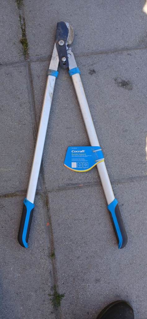 Garden loppers and electric strimmer
