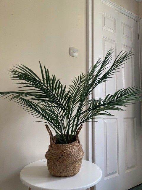 Lovely Artificial Palm Plant in Woven Basket