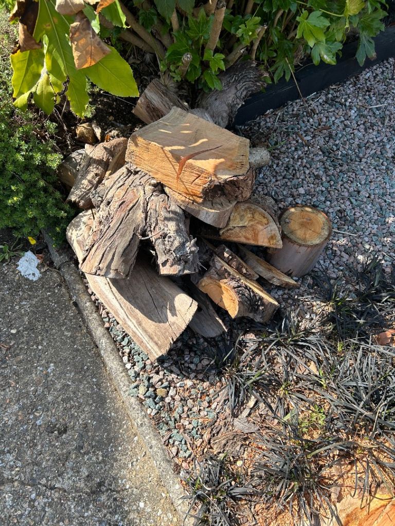 Free firewood
