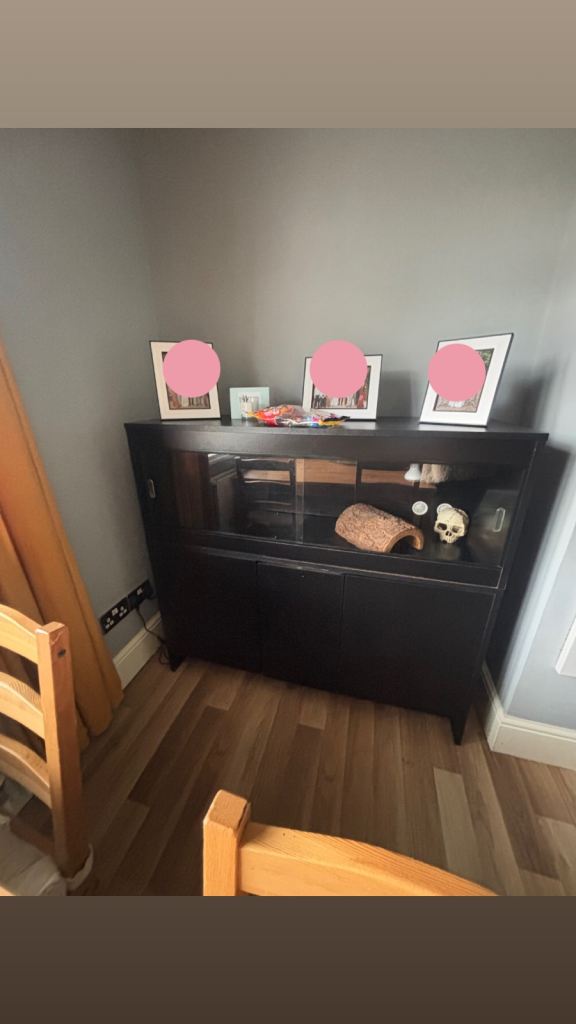 Reptile Vivarium