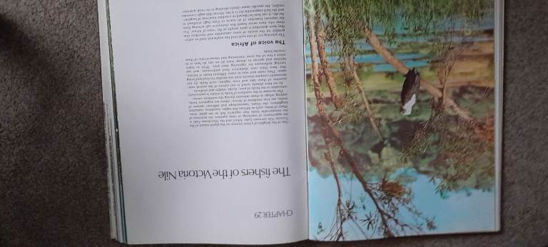 image for World of wildlife 