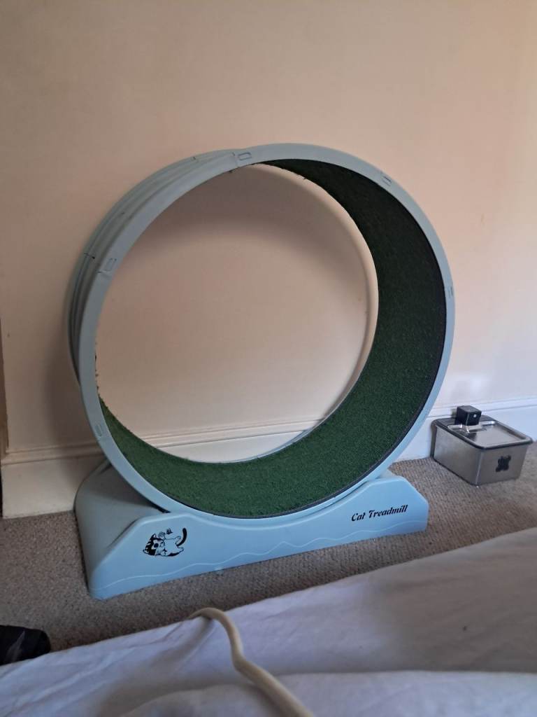 Cat exercise wheel for sale.