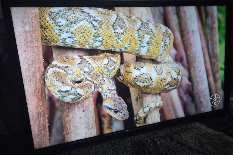 55 inch Monitor 4K Ultra HD HDR