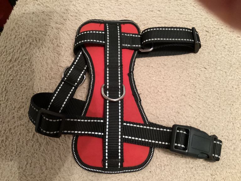 Happy Hachi medium dog harness, red/black