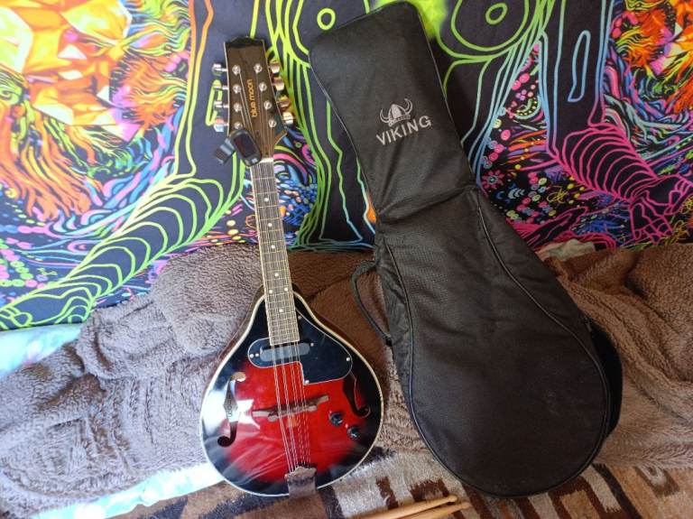 Mandolin never used 