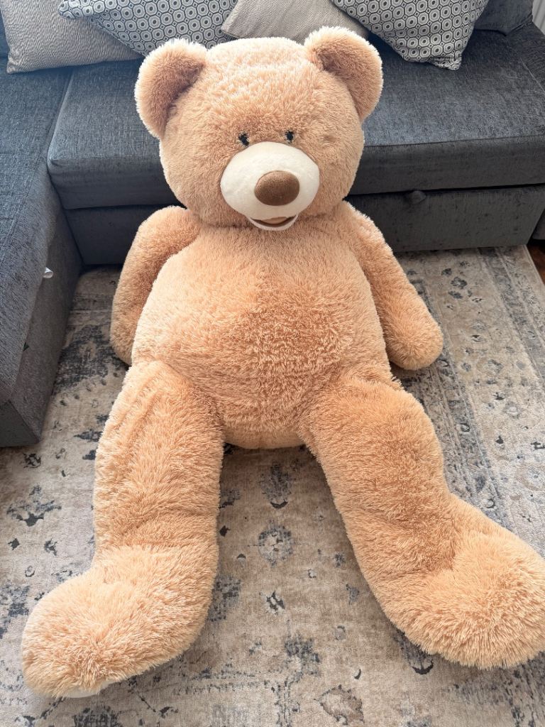Huge Teddy Bear