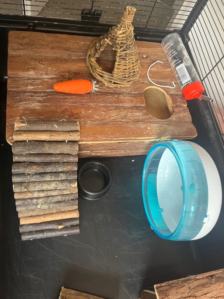 Hamster Cage & Accessories