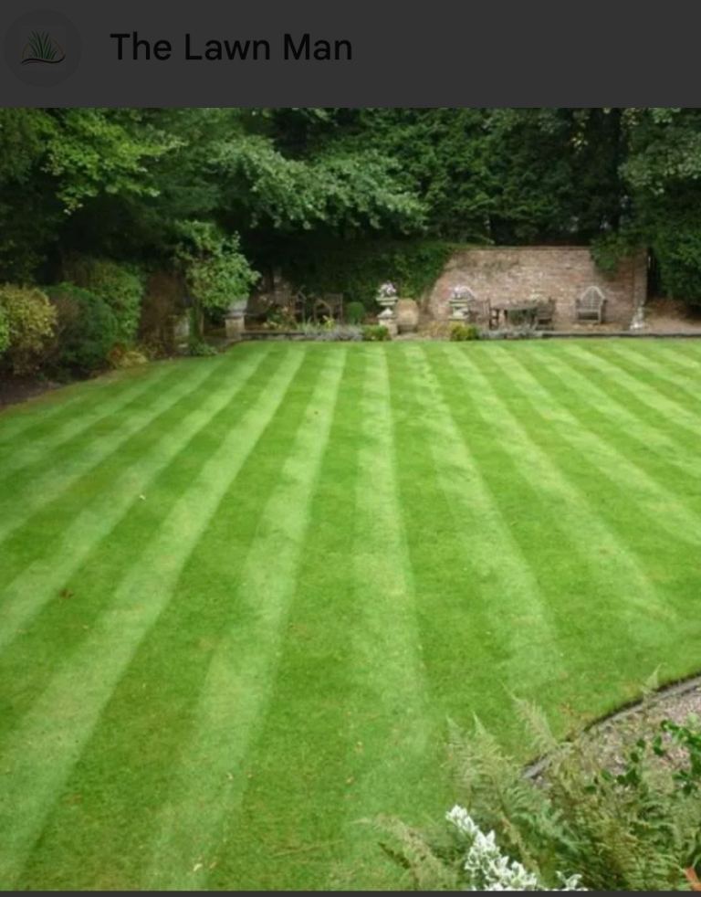 GRASS CUTTING & GARDEN MAINTENANCE SERVICE 