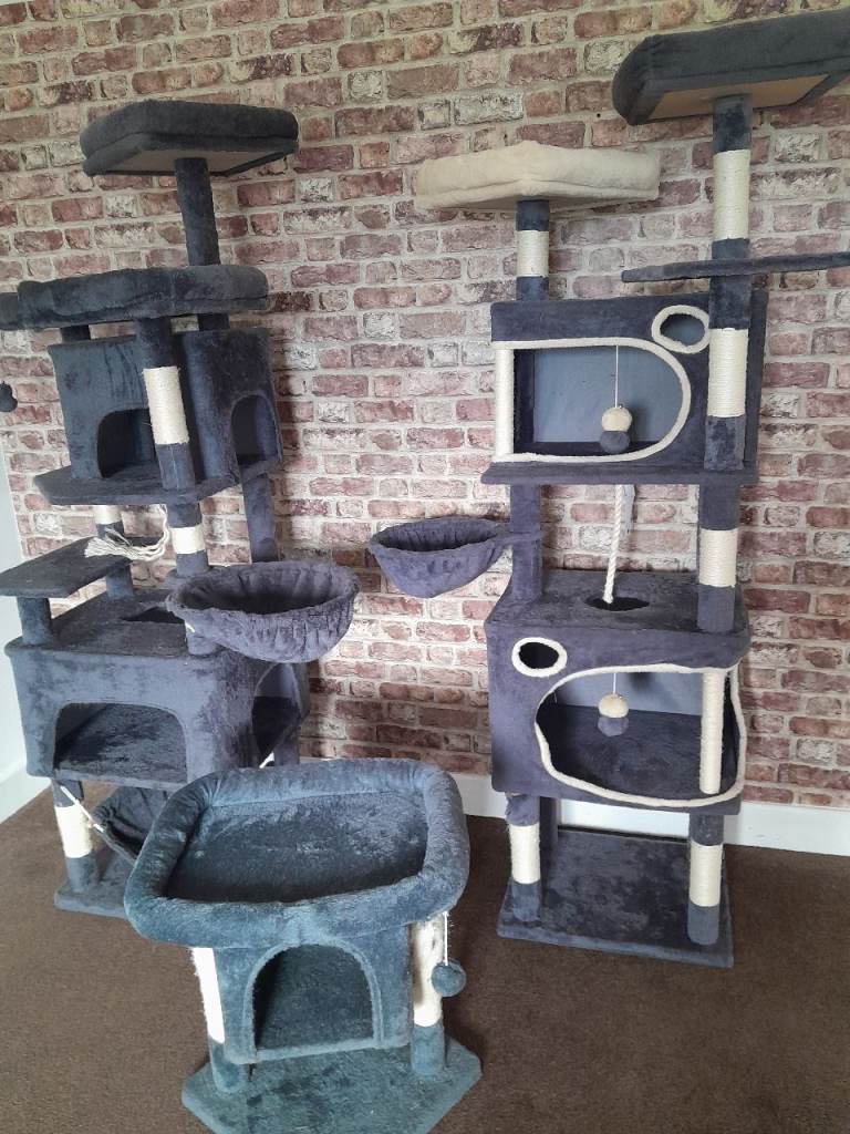 3 cat trees