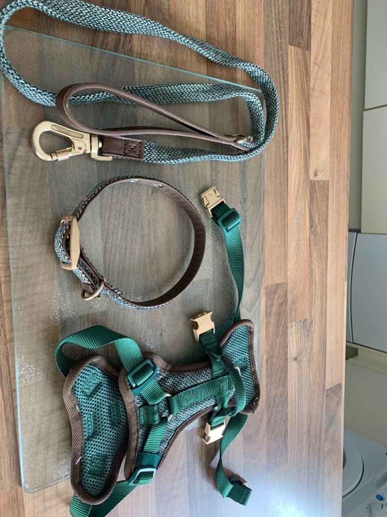 Harness, Collar & lead 