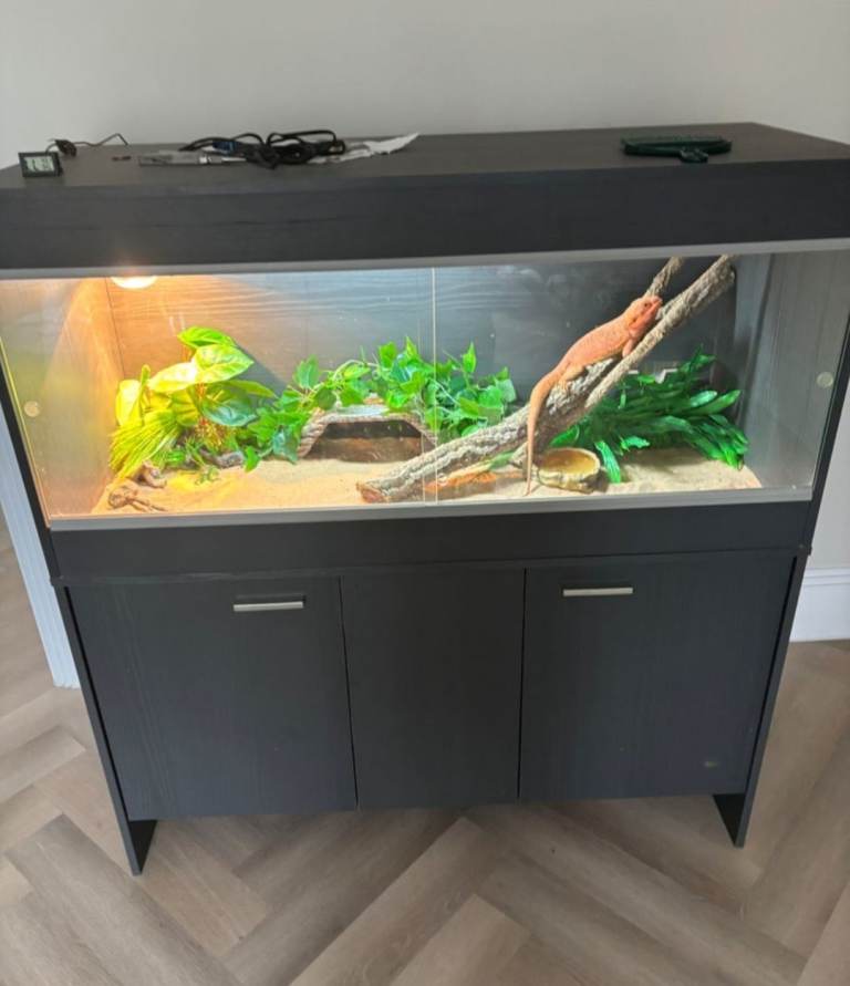 VivExotic Repti Home Maxi Large Dark Grey Vivarium With stand
