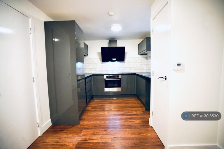 1 bedroom flat in Carr Lane, Hull, HU1 (1 bed) (#3018530)