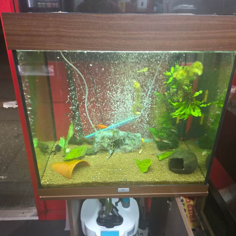 Fish tank full set 