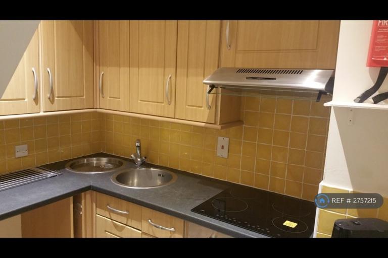 Studio flat in Belmont Road, Luton, LU1 (#2757215)