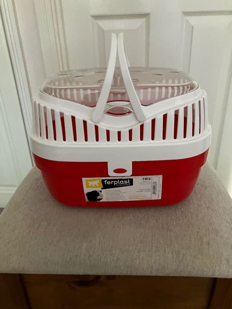 Small pet carrier 