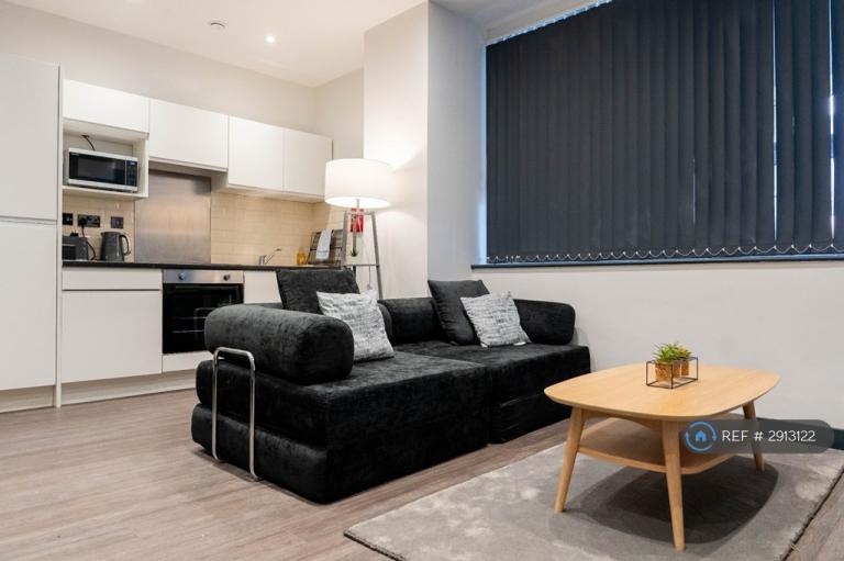 1 bedroom flat in Liverpool, Liverpool, L3 (1 bed) (#2913122)