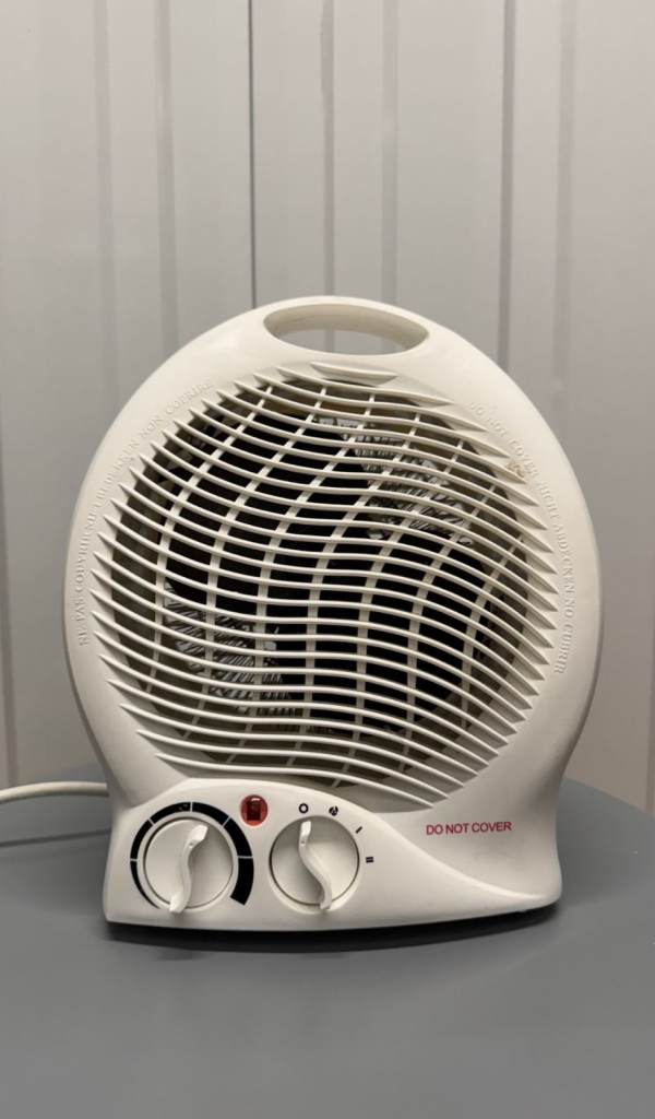 Electric fan heater