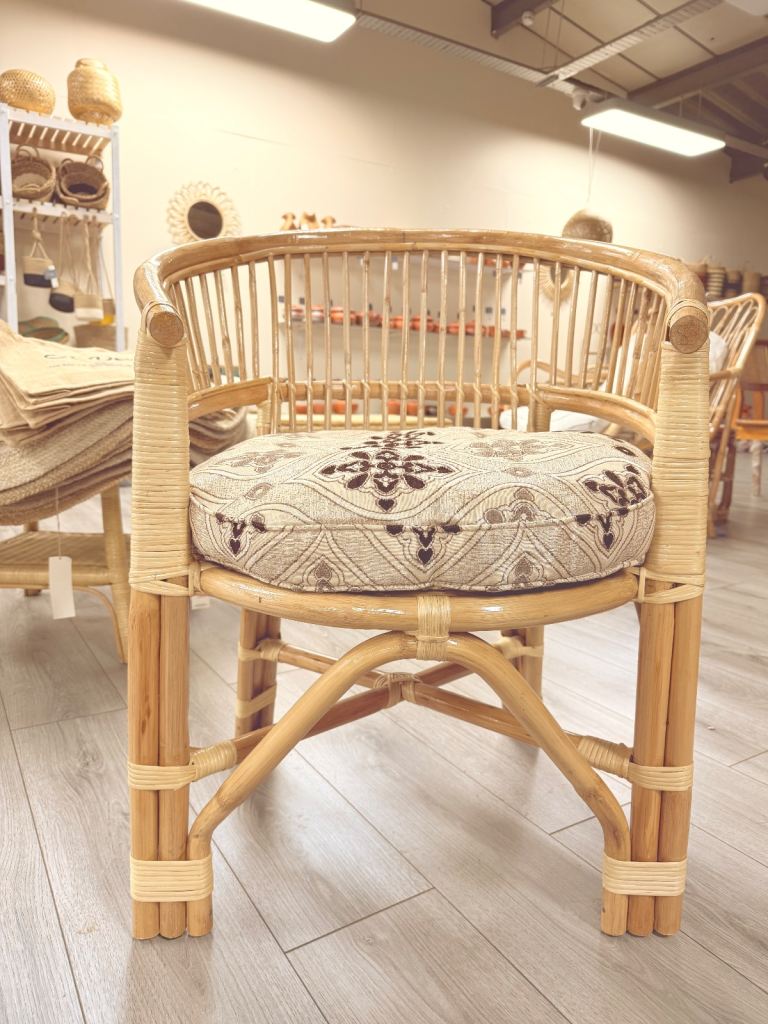 cozy Cane Arm Chair with cushion 