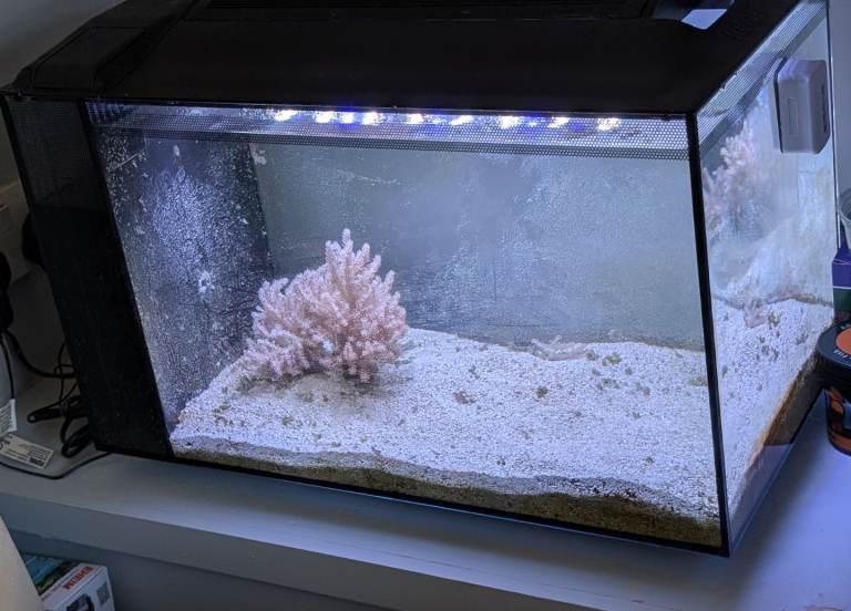 Fluval Evo Aquarium Kit 52 Litre - 56cm