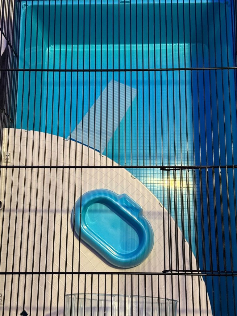 Hamster or small animal cage