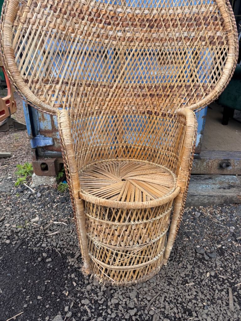 Peacock chair 