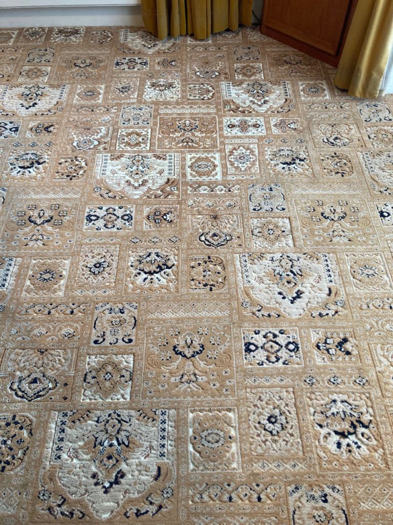 Carpet and underlay