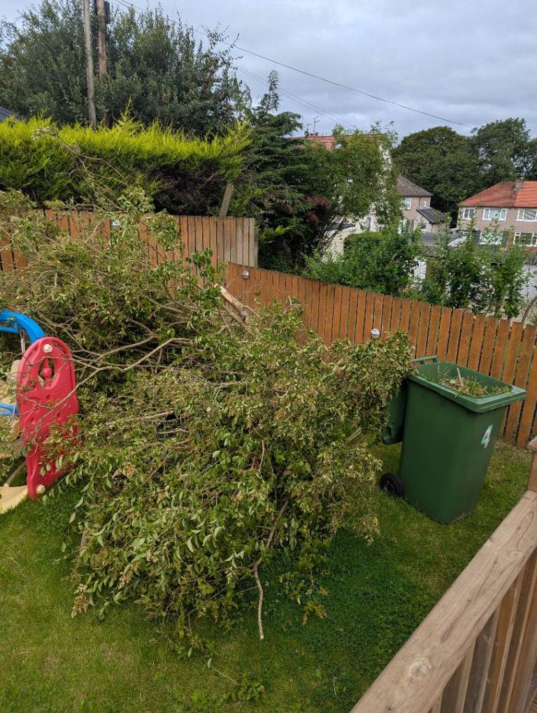 RELIABLE RUBBISH REMOVAL - HOUSE/GARAGE/GARDEN CLEARANCE - BINS EMPTIED - COUCH/MATTRESS UPLIFT