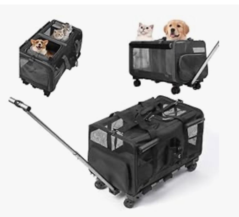 Pet carrier 
