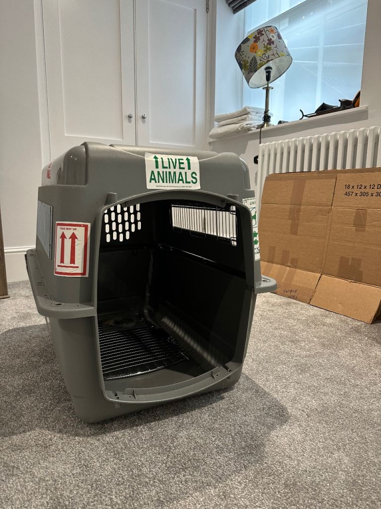 Free pet carrier