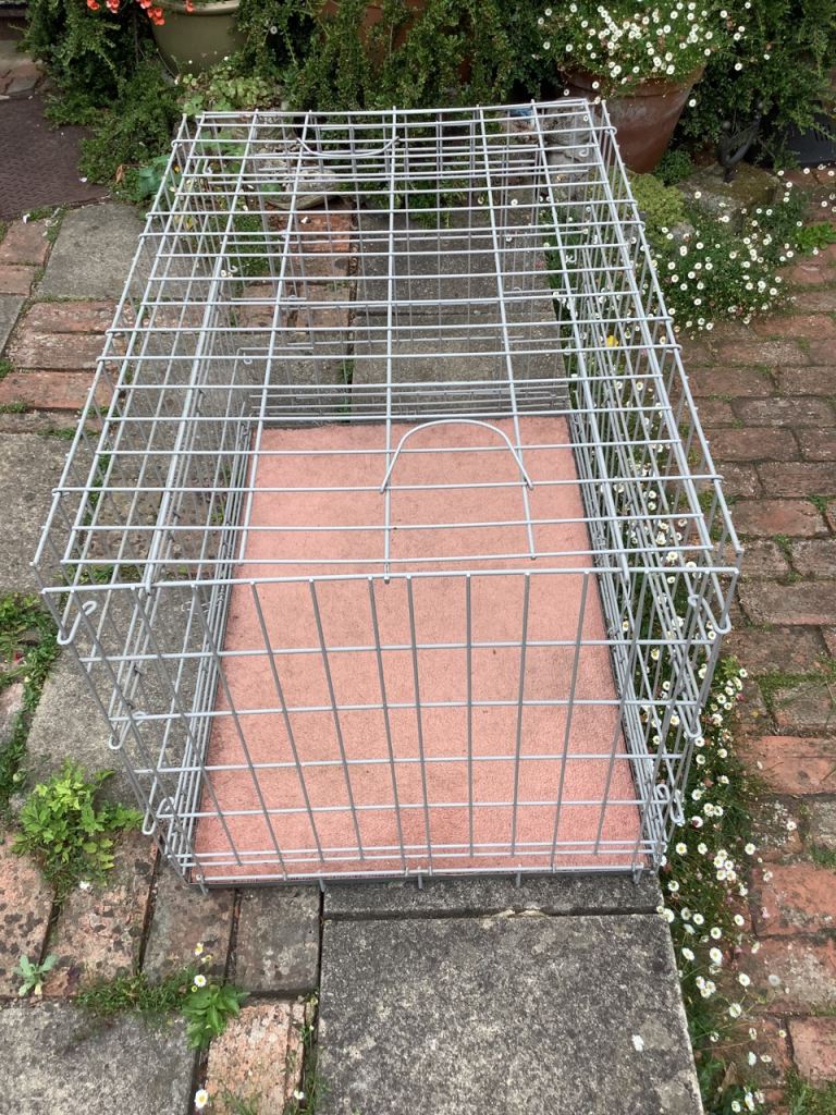Large heavy dog crate