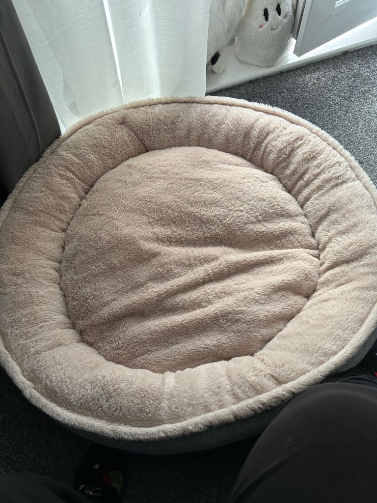 Medium donut pet bed 
