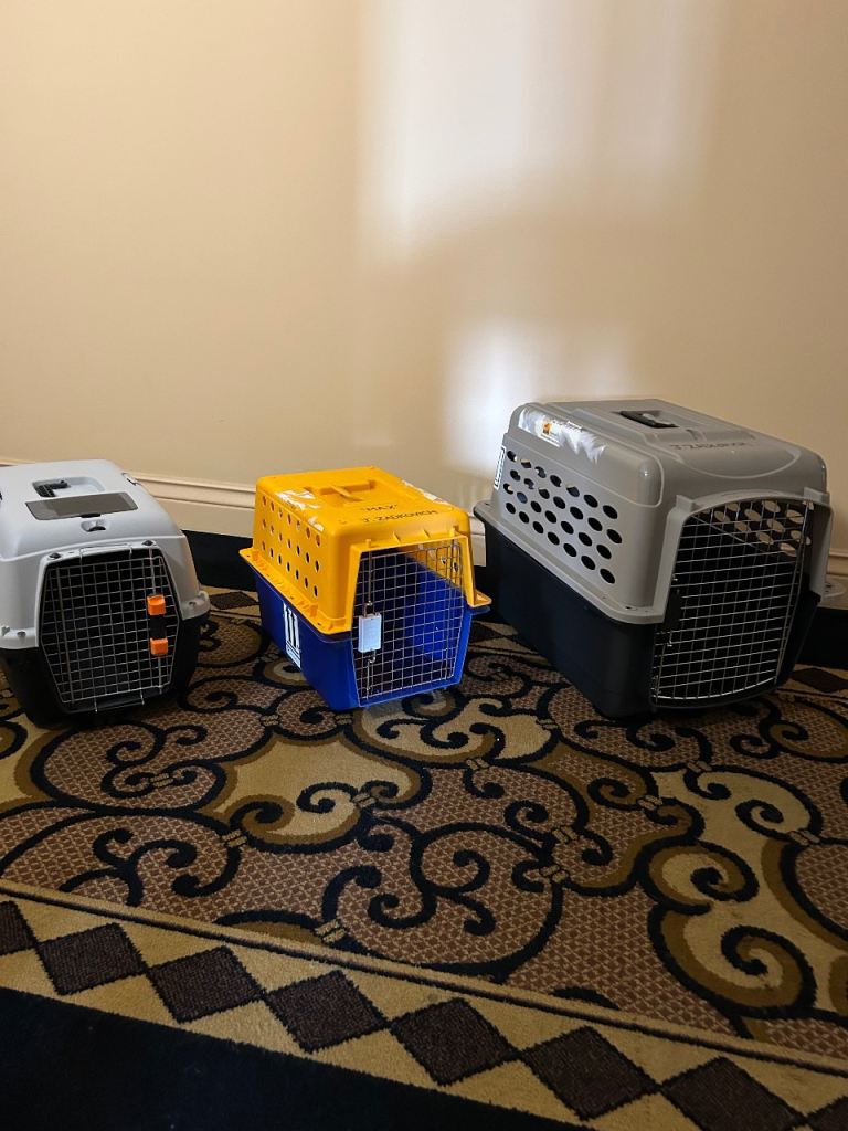 5 Cat Carriers- one set FREE
