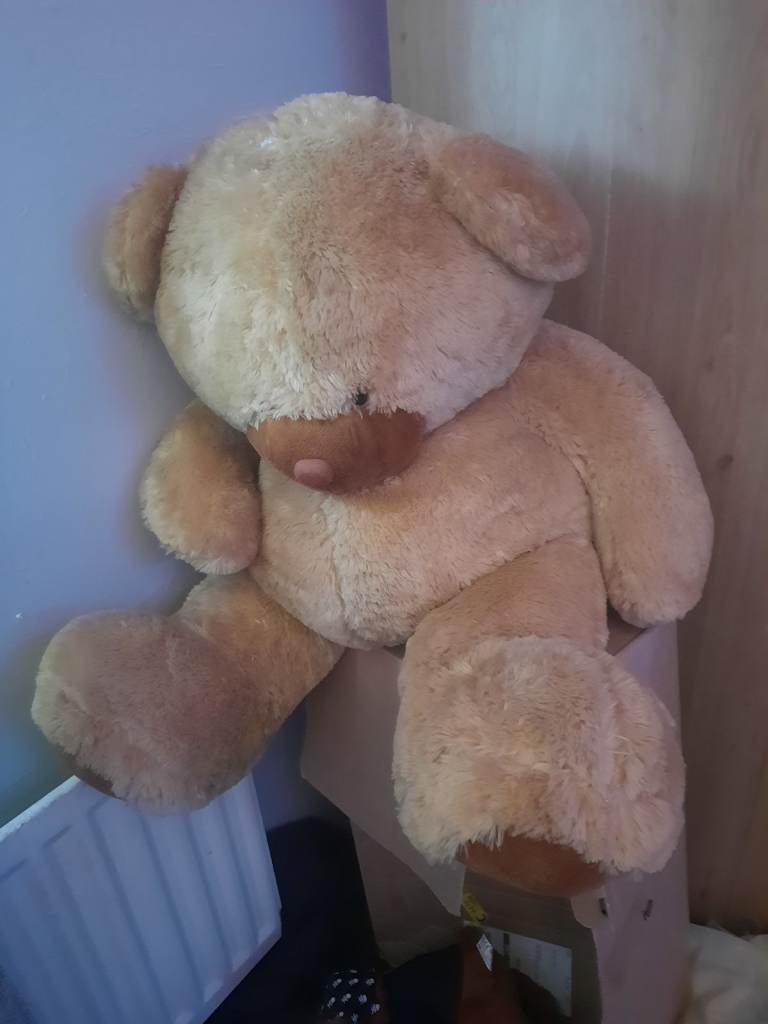 90cm teddy bear