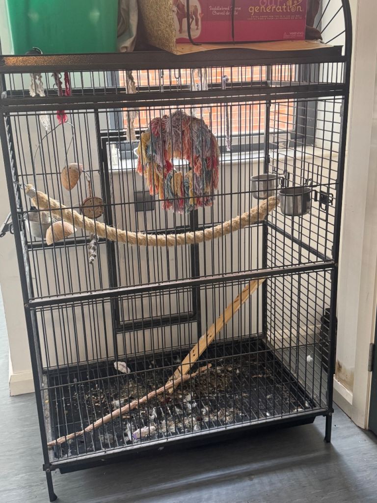 Large bird cage 