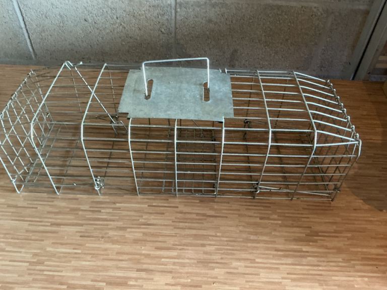 Squirrel catcher cage
